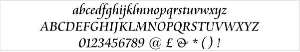 Sample of Cateneo logo design font