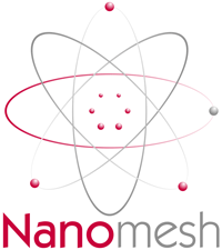 Nanomesh IT company logo design