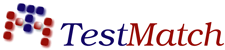 Test Match IT company logo design